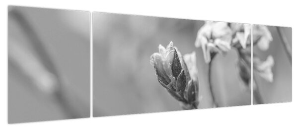 Obraz - Kwitnący kwiat (170x50 cm)