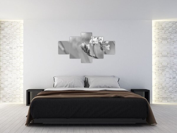 Obraz - Kwitnący kwiat (125x70 cm)