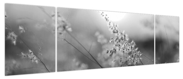 Obraz - Jesienna łąka (170x50 cm)