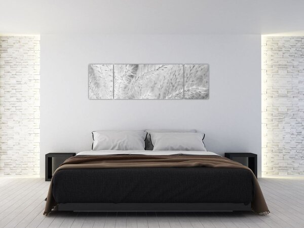 Obraz - Trawa pampasowa N⁰1 (170x50 cm)