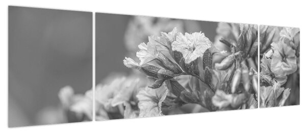Obraz - Suszone kwiaty (170x50 cm)