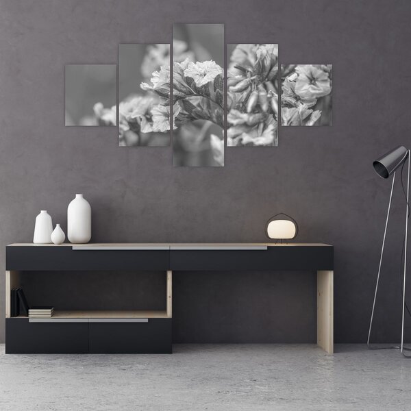 Obraz - Suszone kwiaty (125x70 cm)
