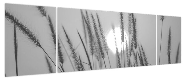 Obraz - Łąka o zachodzie słońca (170x50 cm)