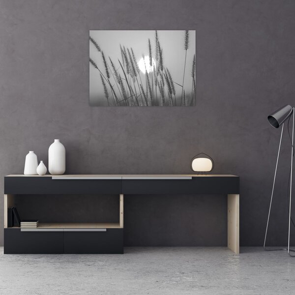Obraz - Łąka o zachodzie słońca (70x50 cm)