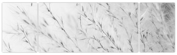 Obraz - Trawa pampasowa N⁰2 (170x50 cm)
