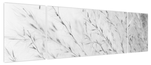 Obraz - Trawa pampasowa N⁰2 (170x50 cm)