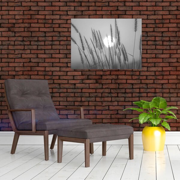 Obraz - Łąka o zachodzie słońca (70x50 cm)