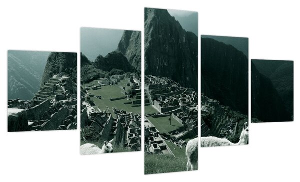 Obraz - Lamy w Machu Picchu w Peru (125x70 cm)