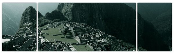Obraz - Lamy w Machu Picchu w Peru (170x50 cm)