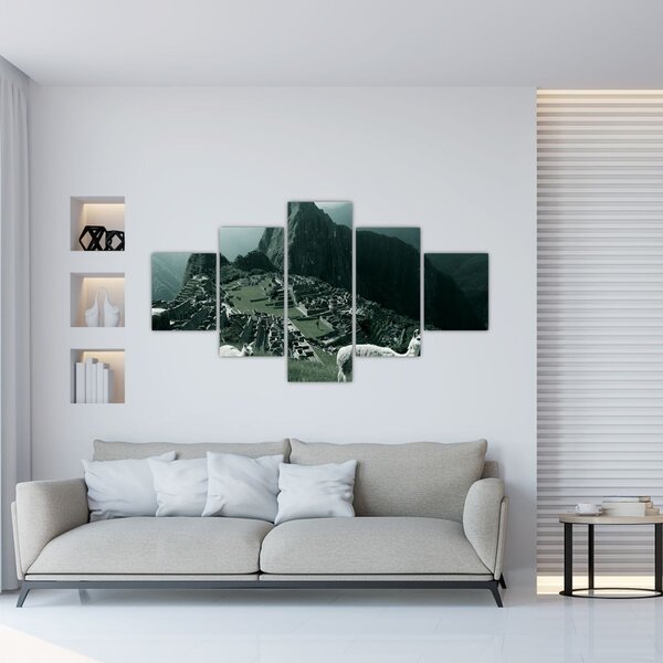 Obraz - Lamy w Machu Picchu w Peru (125x70 cm)