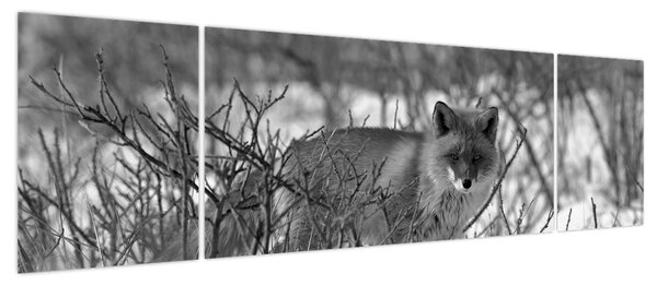Obraz - Lis w zimie (170x50 cm)