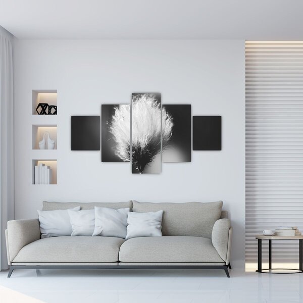 Obraz - Czarno-biała trawa bawełniana (125x70 cm)