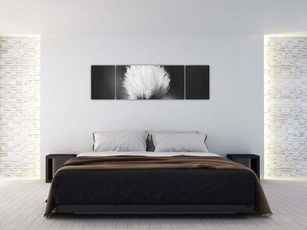 Obraz - Czarno-biała trawa bawełniana (170x50 cm)