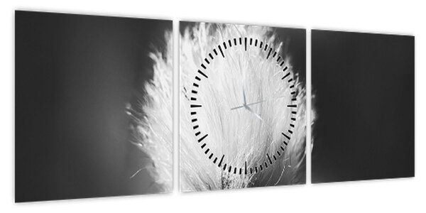 Obraz - Czarno-biała trawa bawełniana (z zegarem) (90x30 cm)
