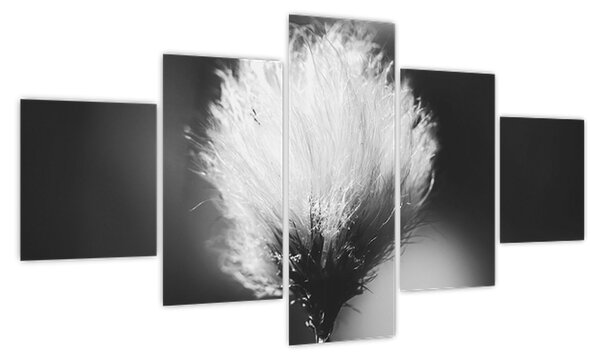 Obraz - Czarno-biała trawa bawełniana (125x70 cm)