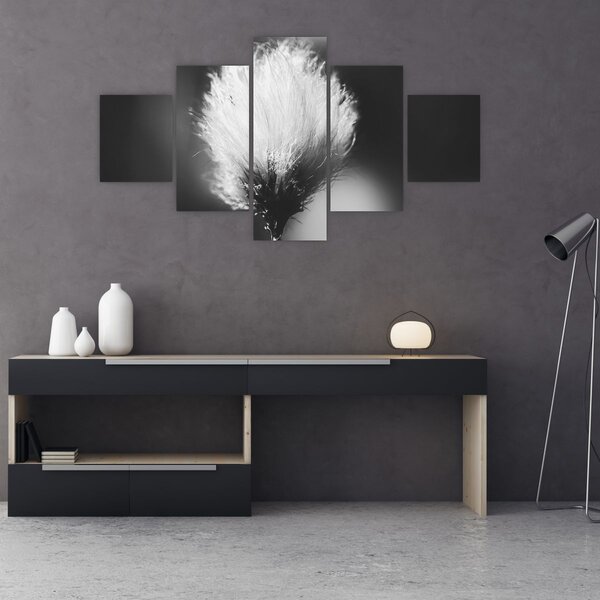 Obraz - Czarno-biała trawa bawełniana (125x70 cm)