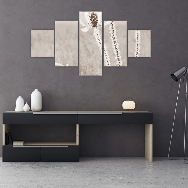 Obraz - Oset w zimie (125x70 cm)