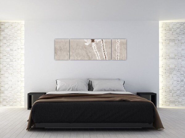 Obraz - Oset w zimie (170x50 cm)