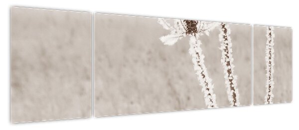 Obraz - Oset w zimie (170x50 cm)