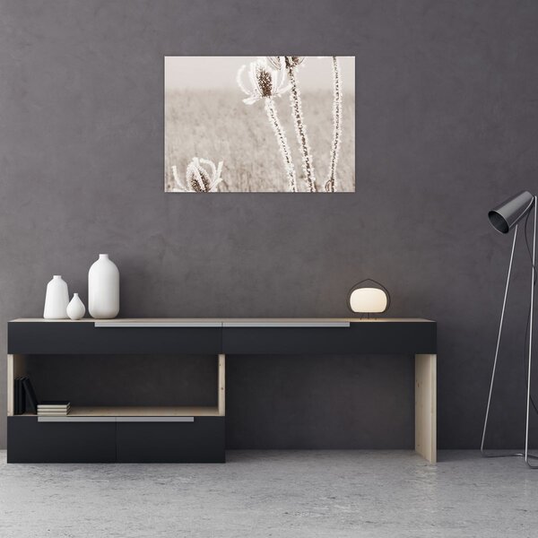 Obraz - Oset w zimie (70x50 cm)