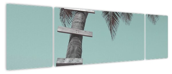 Obraz - Palma na Karaibach (170x50 cm)
