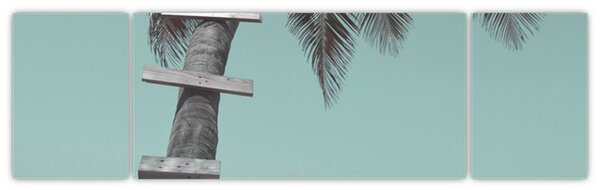 Obraz - Palma na Karaibach (170x50 cm)