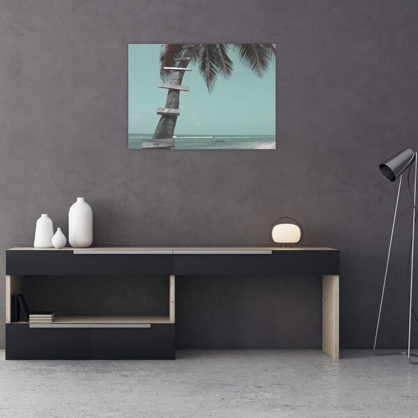 Obraz - Palma na Karaibach (70x50 cm)