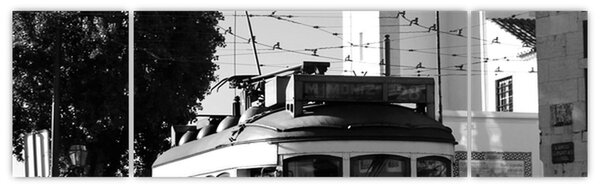 Obraz - Tramwaj (170x50 cm)