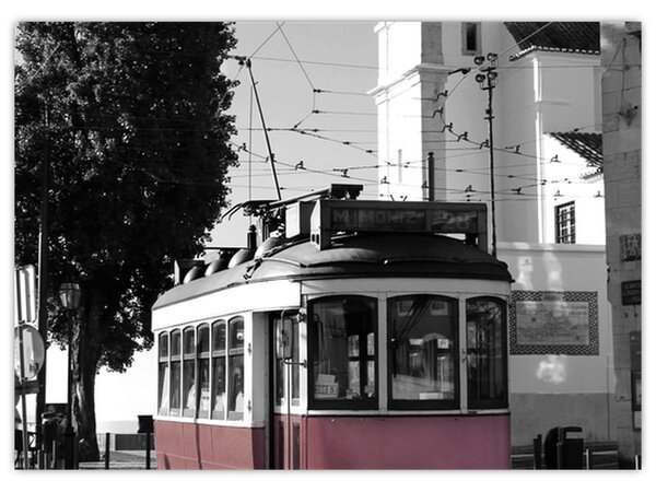 Obraz - Tramwaj (70x50 cm)