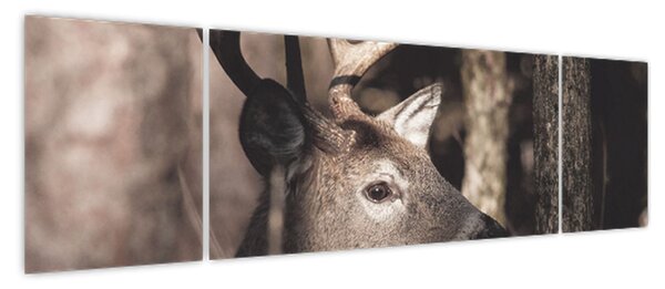 Obraz - Jeleń w lesie (170x50 cm)