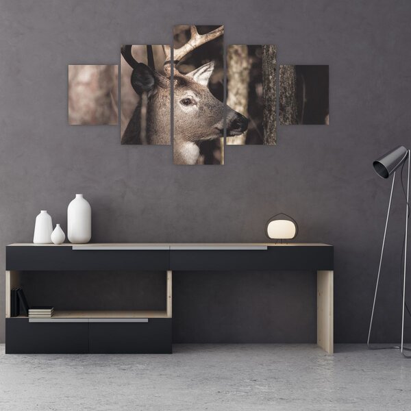 Obraz - Jeleń w lesie (125x70 cm)