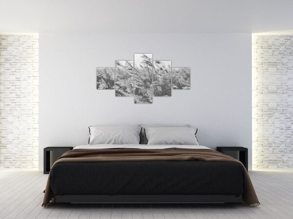Obraz - Trawa na wietrze (125x70 cm)