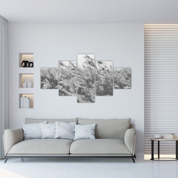 Obraz - Trawa na wietrze (125x70 cm)