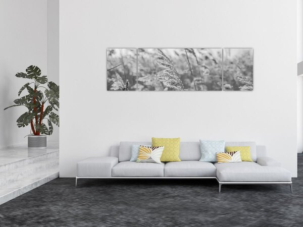 Obraz - Trawa na wietrze (170x50 cm)