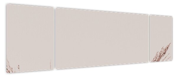 Obraz - Suszona trawa (170x50 cm)