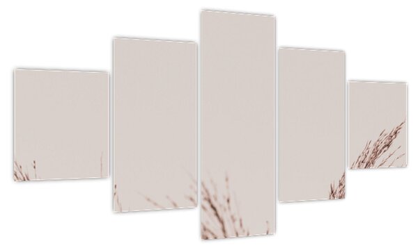 Obraz - Suszona trawa (125x70 cm)