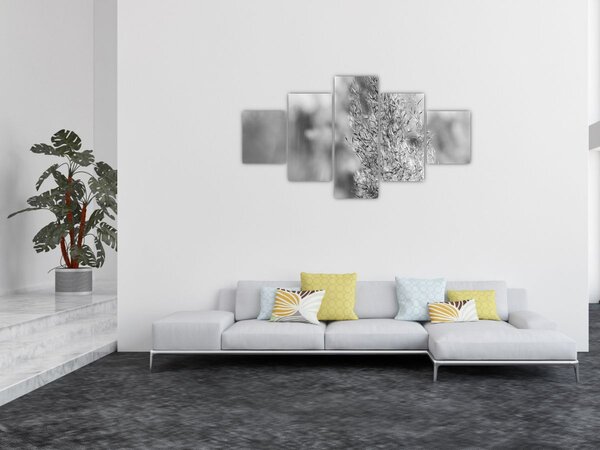 Obraz - Trawa pampasowa Boho (125x70 cm)