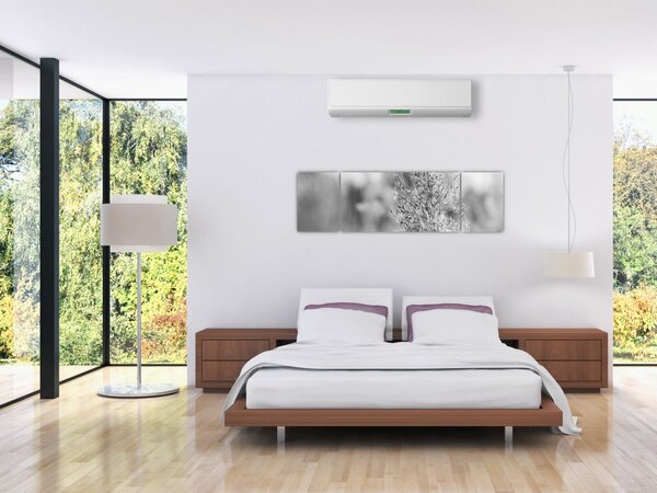Obraz - Trawa pampasowa Boho (170x50 cm)