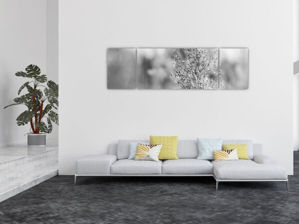 Obraz - Trawa pampasowa Boho (170x50 cm)