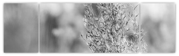 Obraz - Trawa pampasowa Boho (170x50 cm)