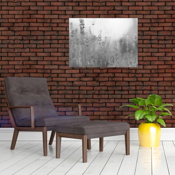 Obraz - Lawenda (70x50 cm)