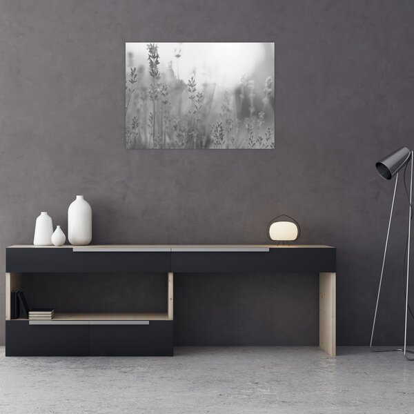 Obraz - Lawenda (70x50 cm)