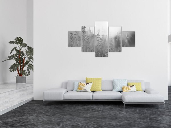 Obraz - Lawenda (125x70 cm)