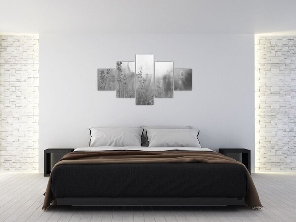 Obraz - Lawenda (125x70 cm)
