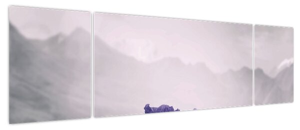 Obraz - Fioletowe kwiaty w górach (170x50 cm)