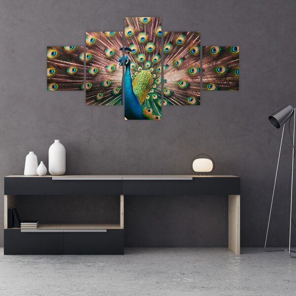 Obraz - Paw (125x70 cm)