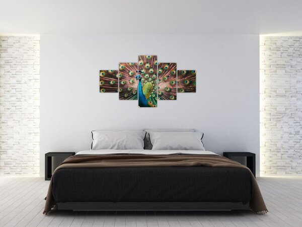 Obraz - Paw (125x70 cm)