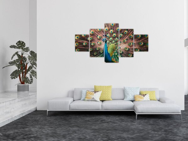 Obraz - Paw (125x70 cm)