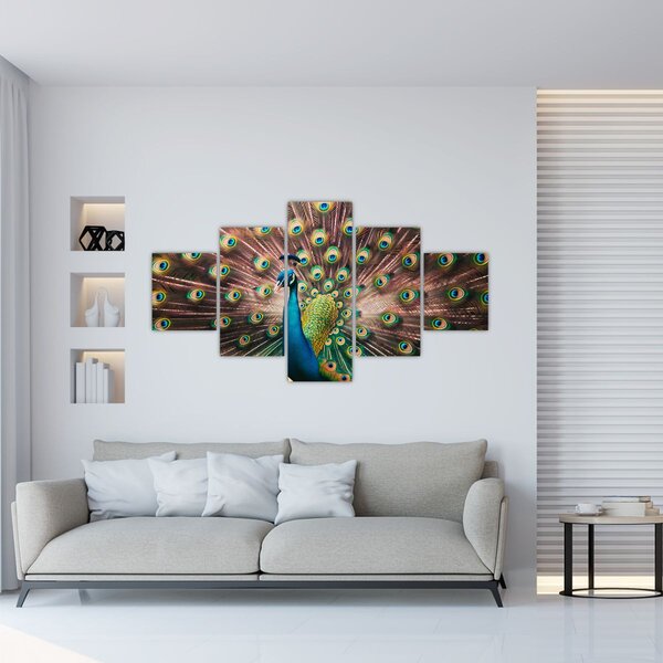 Obraz - Paw (125x70 cm)
