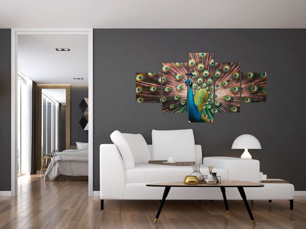 Obraz - Paw (125x70 cm)